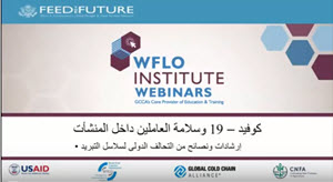Egypt COVID-19 webinar